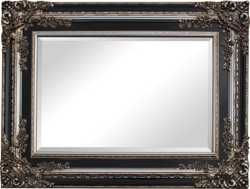 Exquisite Black Silver European Ornate Mirror